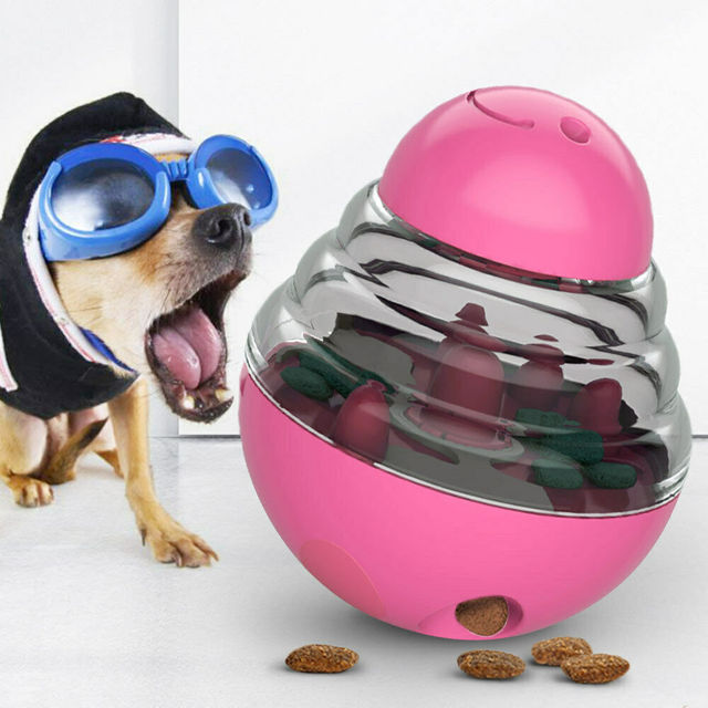 Interactive Dog Toys