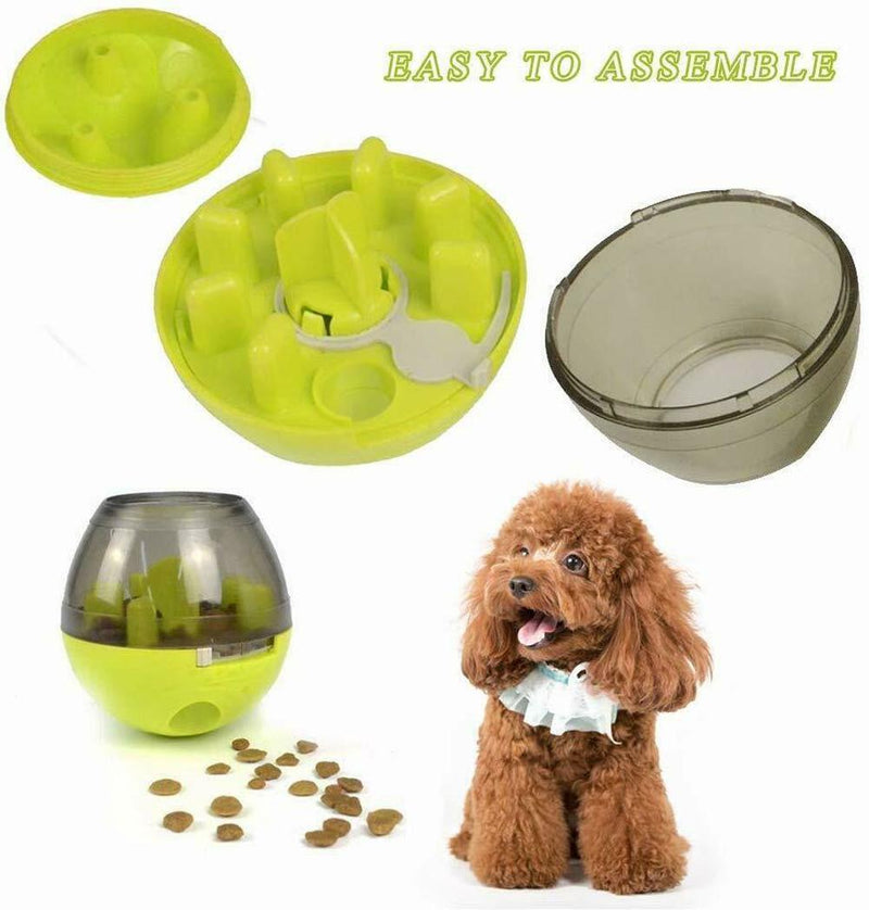 Interactive Dog Toys