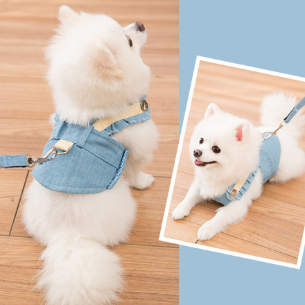 Color: Lake Blue, Size: L - Cute Pet Dog Harness Leash Set