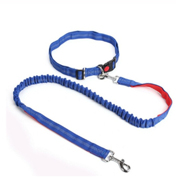 Traction rope dog leash