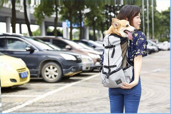 format: M, Color: gray - Ventilated And Breathable Pet Backpack