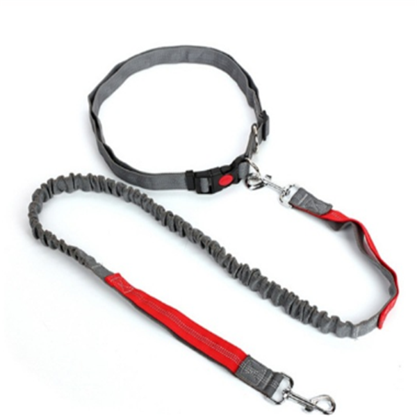 Traction rope dog leash