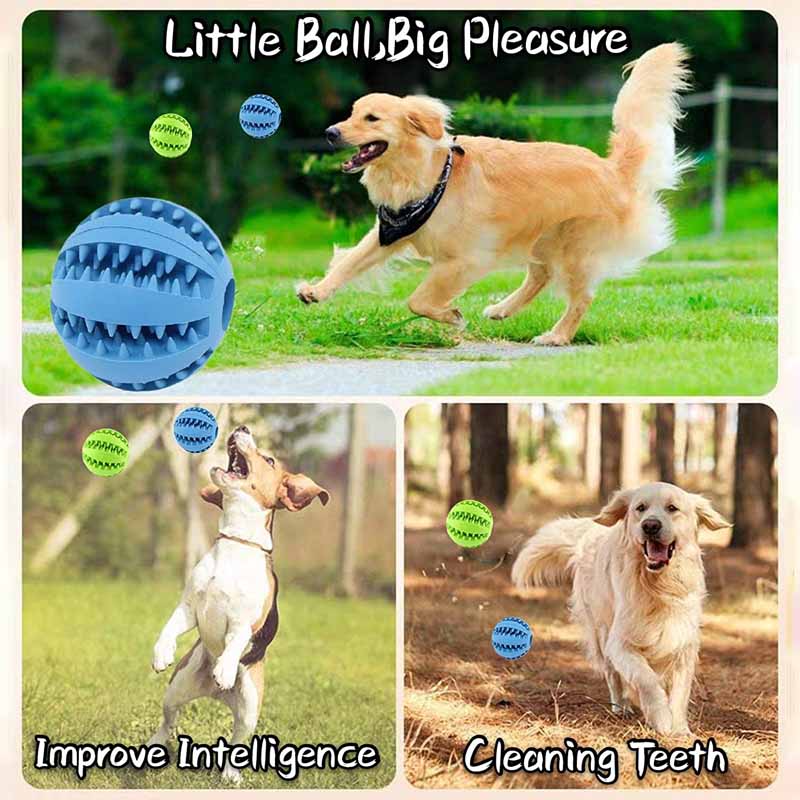 Dog Interactive Toy Balls