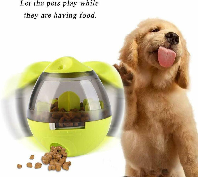 Interactive Dog Toys