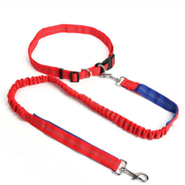 Traction rope dog leash