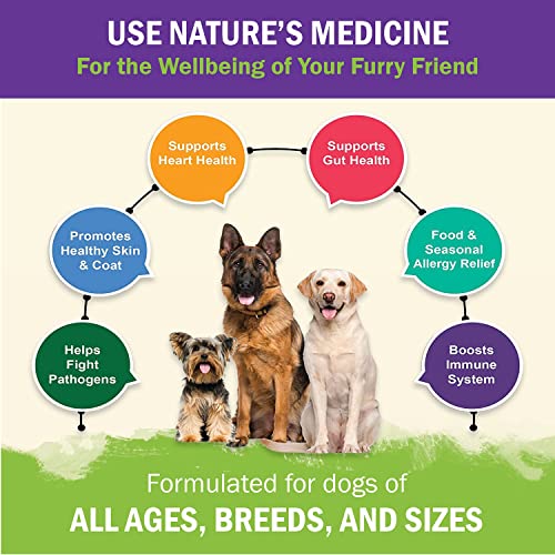 Allergy Immune Support Supplement for Dogs, Superfood 100% Human-Grade with Turkey Tail Mushroom, Prebiotics for Gut Health, Itchy Skin, Seasonal Allergies & Yeast - for Small to Large Breeds