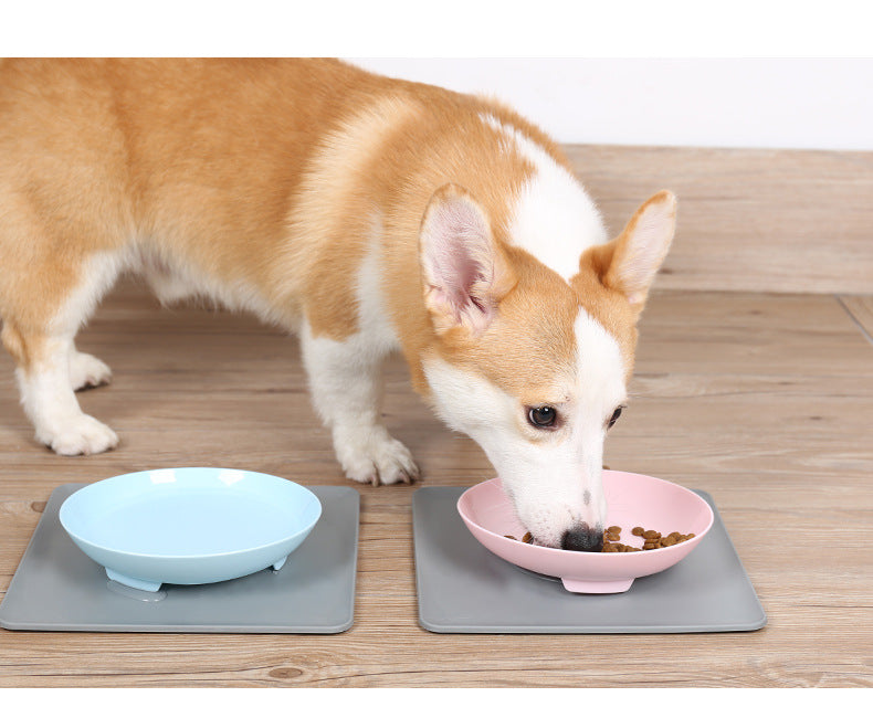 Non-slip pet bowl