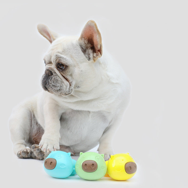 Dog's anti-boring toy molars