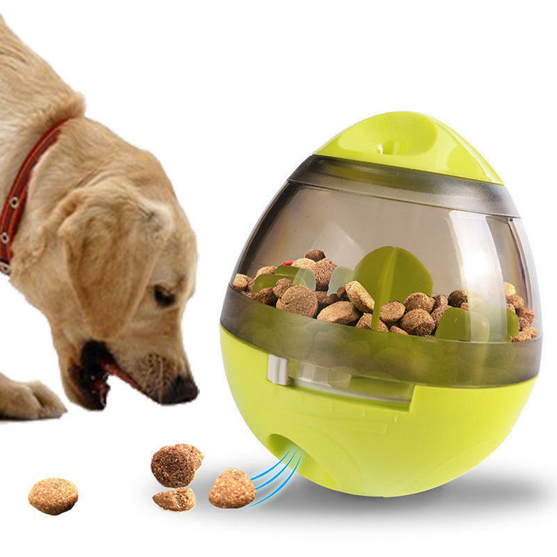 Interactive Dog Toys