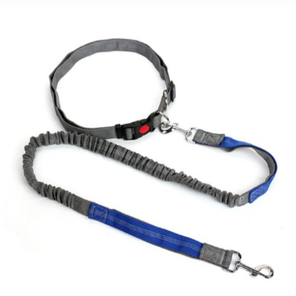 Traction rope dog leash