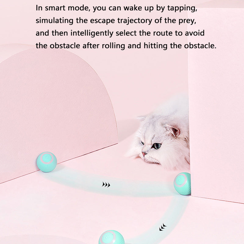 Smart Cat Toys