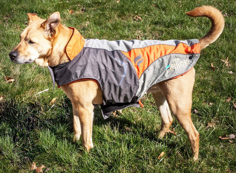 Helios Lotus-Rusher Waterproof 2-in-1 Convertible Dog Jacket w/ Blackshark technology