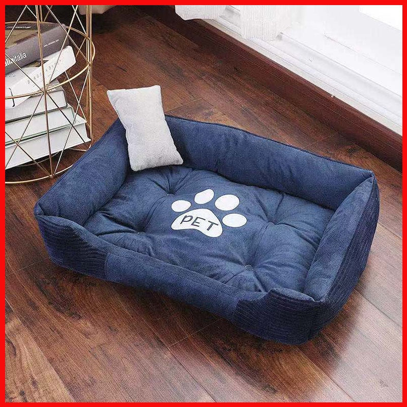 Sofa Beds Pet