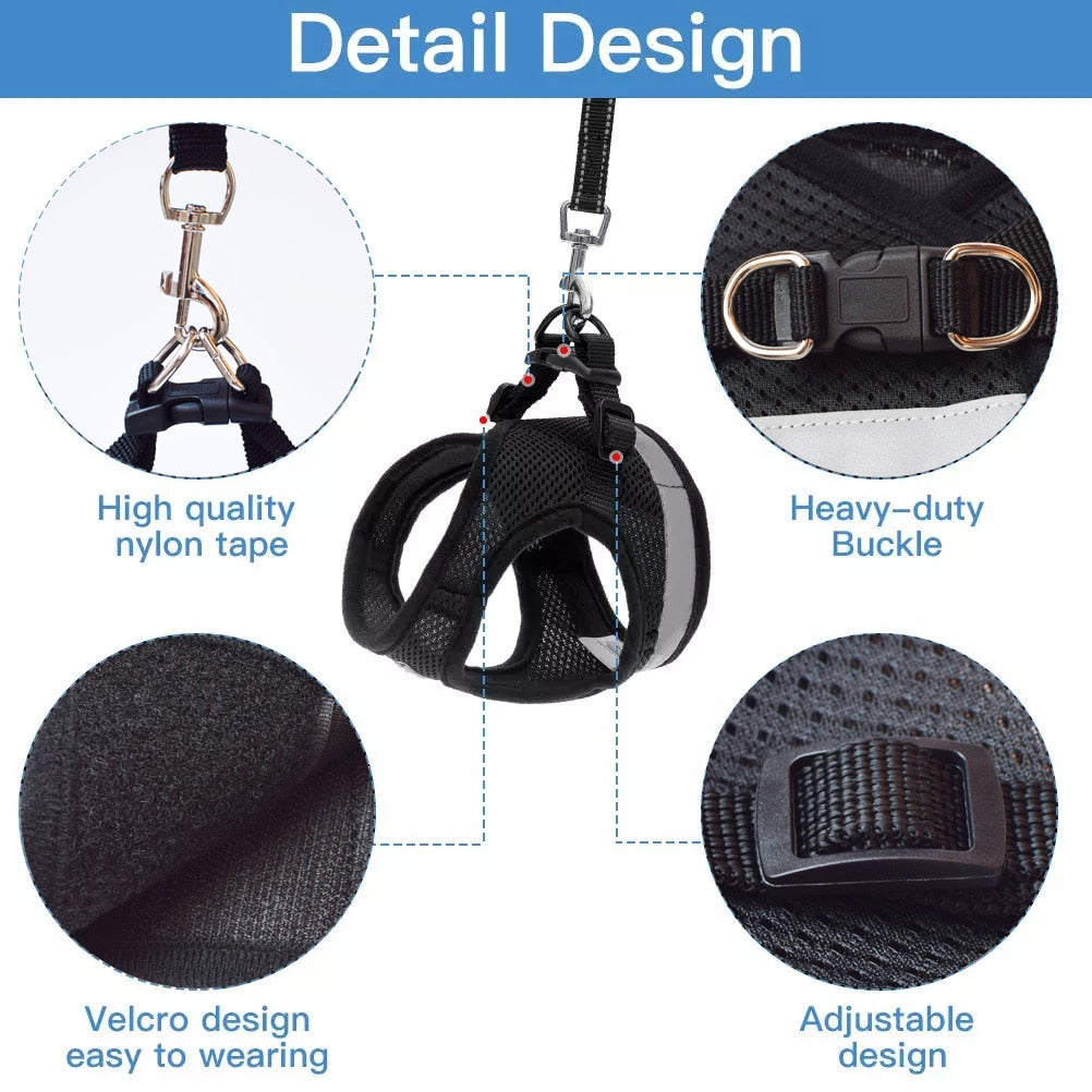 Dalia Breathable Cat Harness