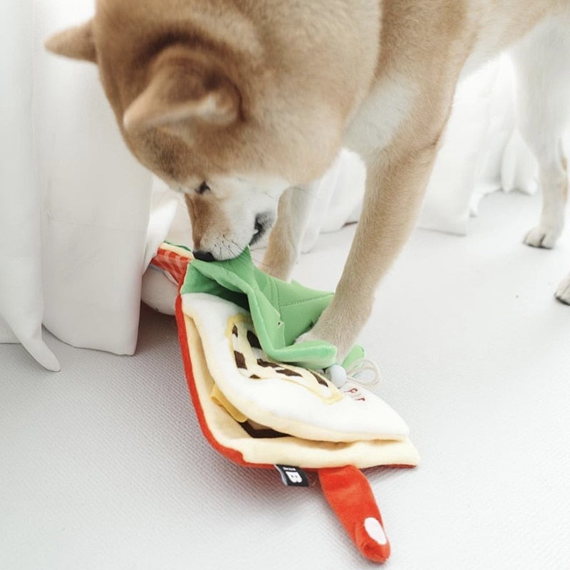 Finding Food Squeaking Book Dog