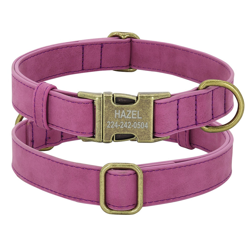 Dogs Tag Collars