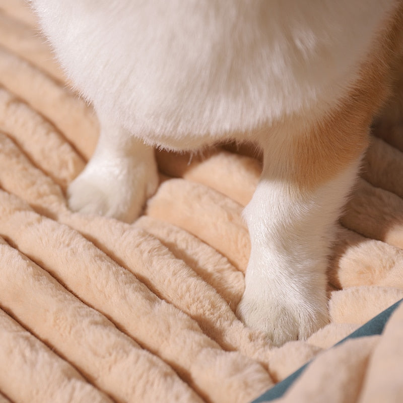 Padded Cushion Dog Bed