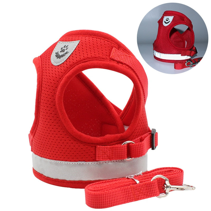 Dalia Breathable Cat Harness