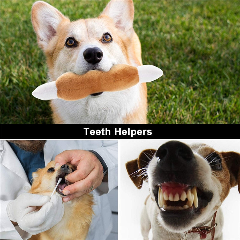 Dog Squeaky Toys