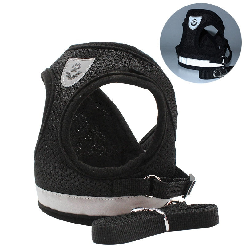 Dalia Breathable Cat Harness