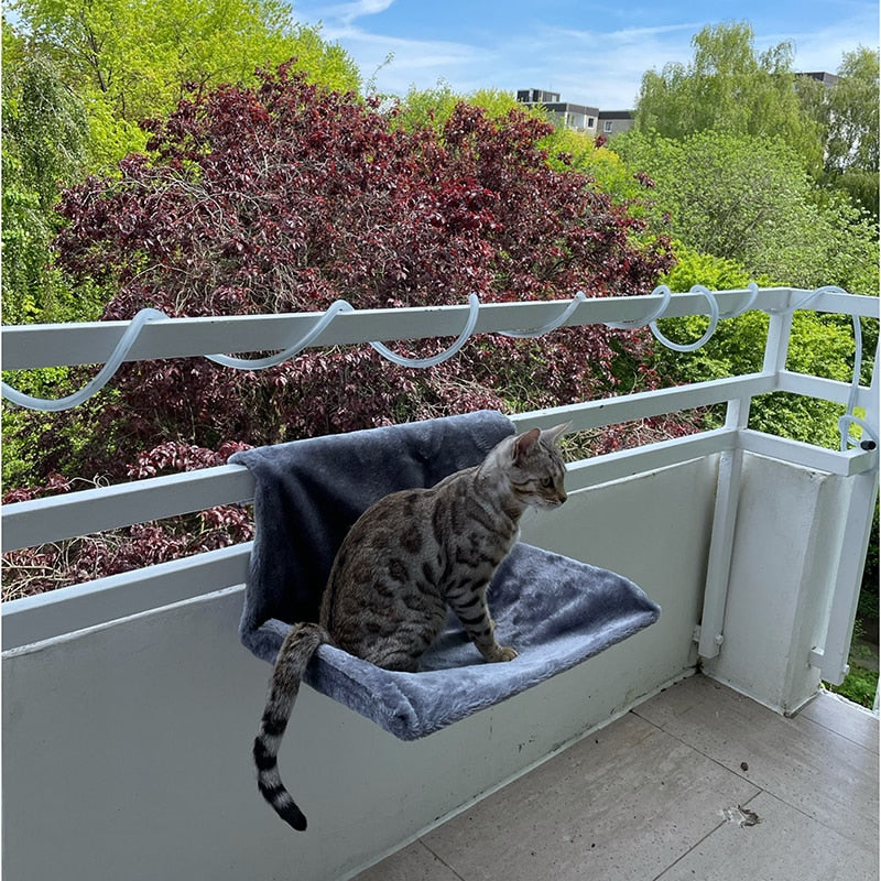 Cat Animal Hammock