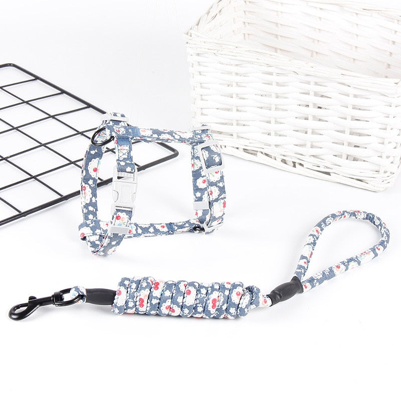 Cat Kitten Halter Collar