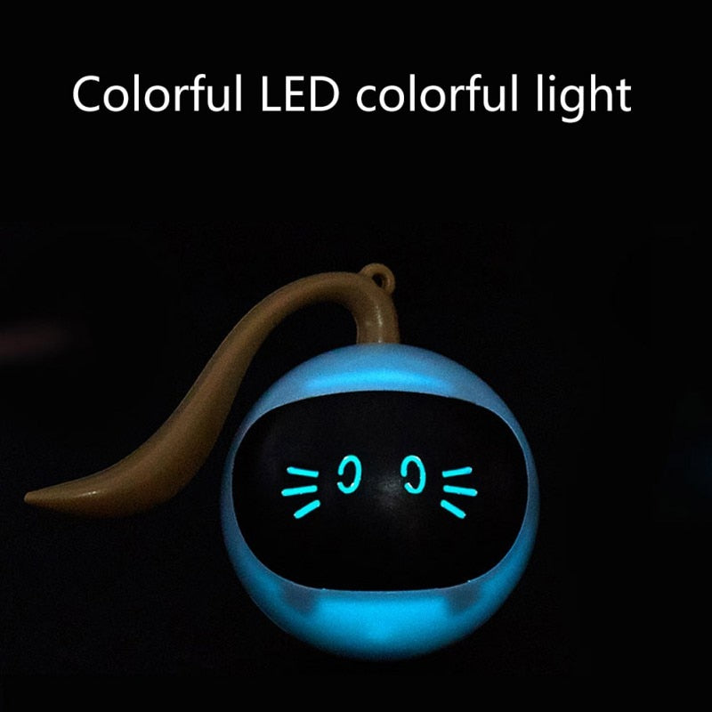 LED Self Rotating Pet Ball