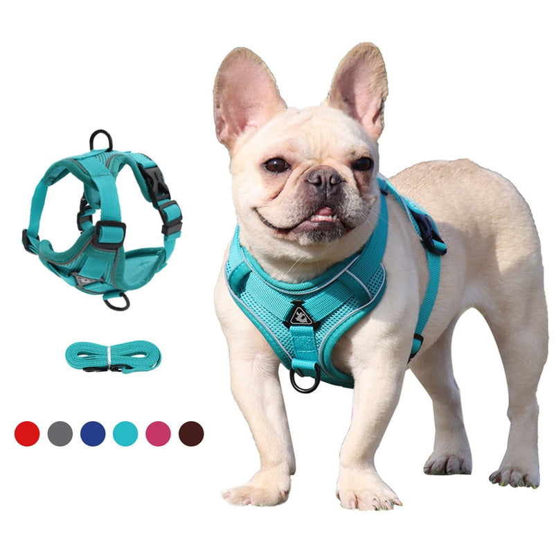 Dog Harness 1.5m Traction Leash