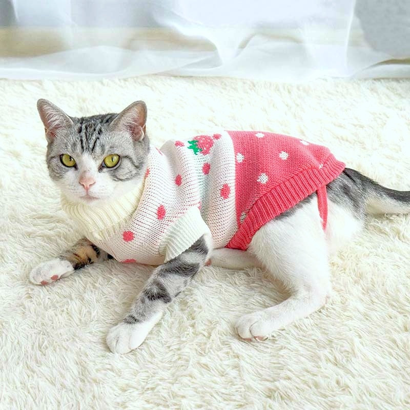 Mascots Katten Sweater