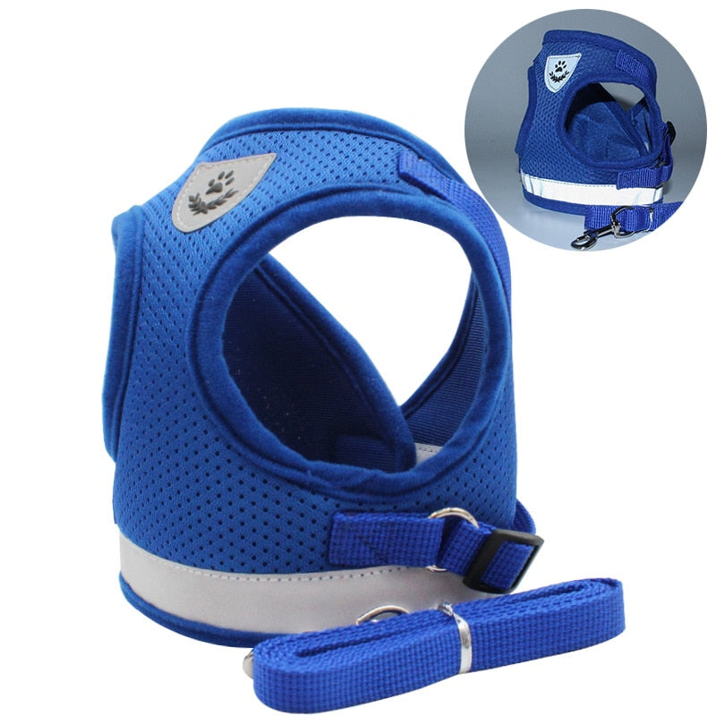 Dalia Breathable Cat Harness