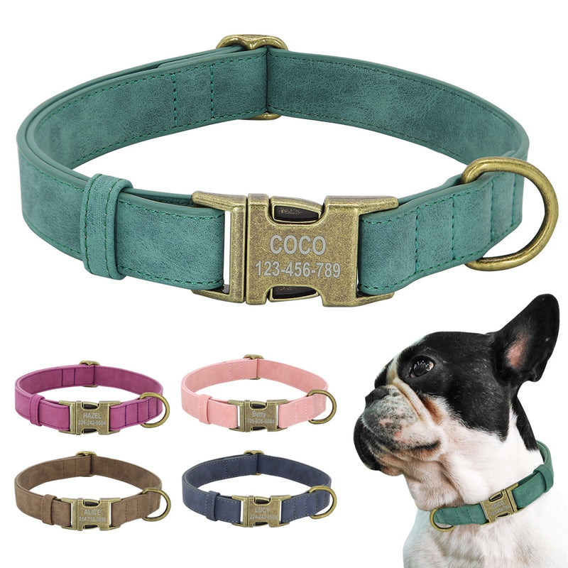 Dogs Tag Collars