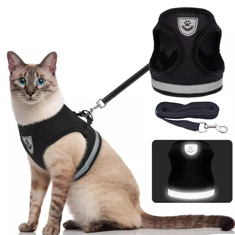 Dalia Breathable Cat Harness