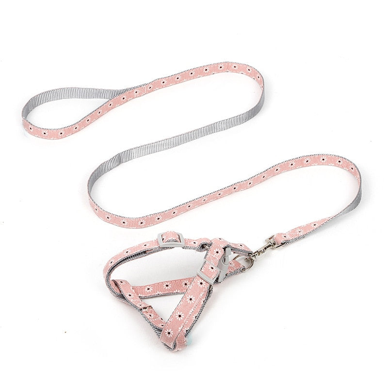 Leash Collar Puppy