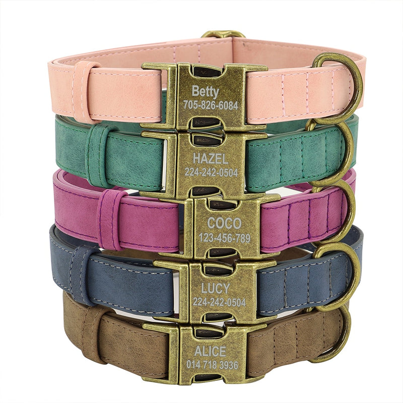 Dogs Tag Collars