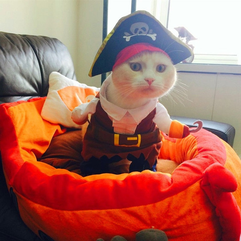 Pirate Suit Cat Clothes