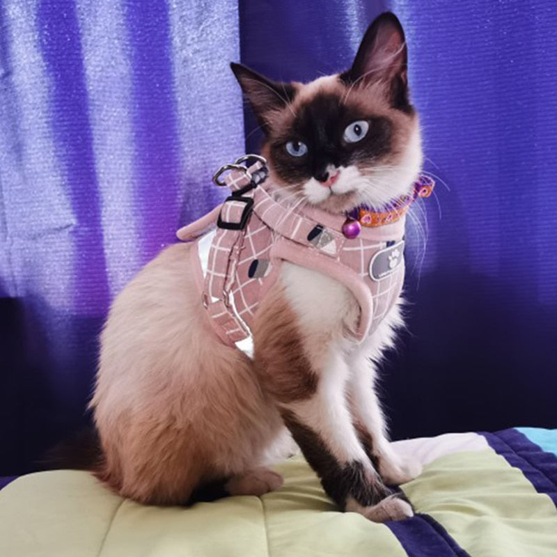 Fashion Plaid Cat Harnesses