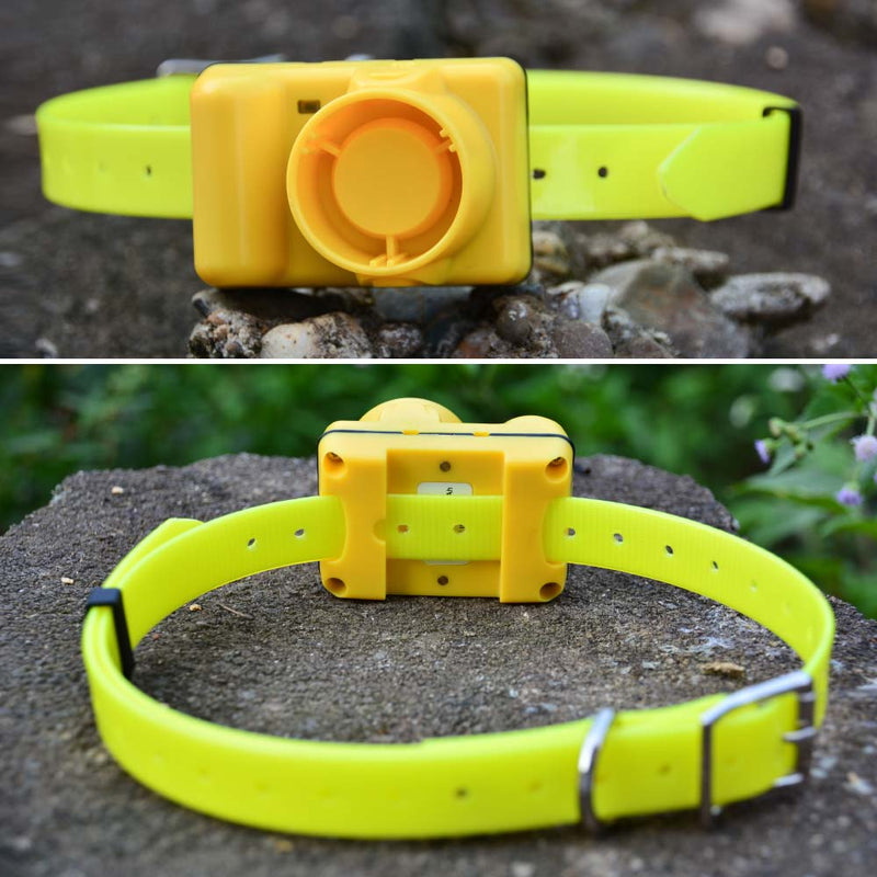 Dog Beeper Collars