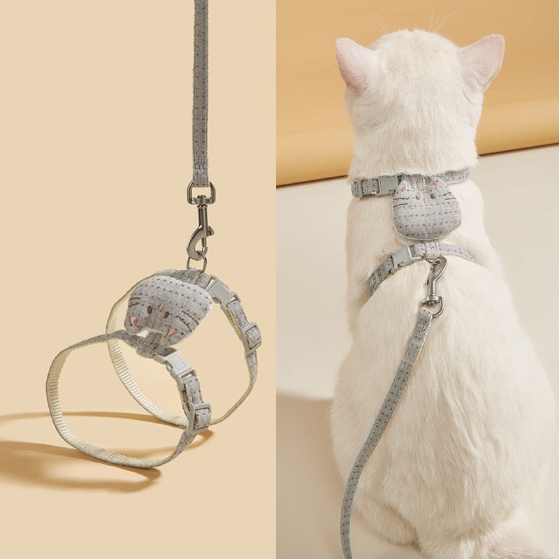 Collar Harness Leash