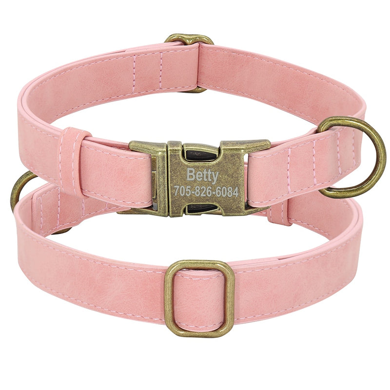 Dogs Tag Collars