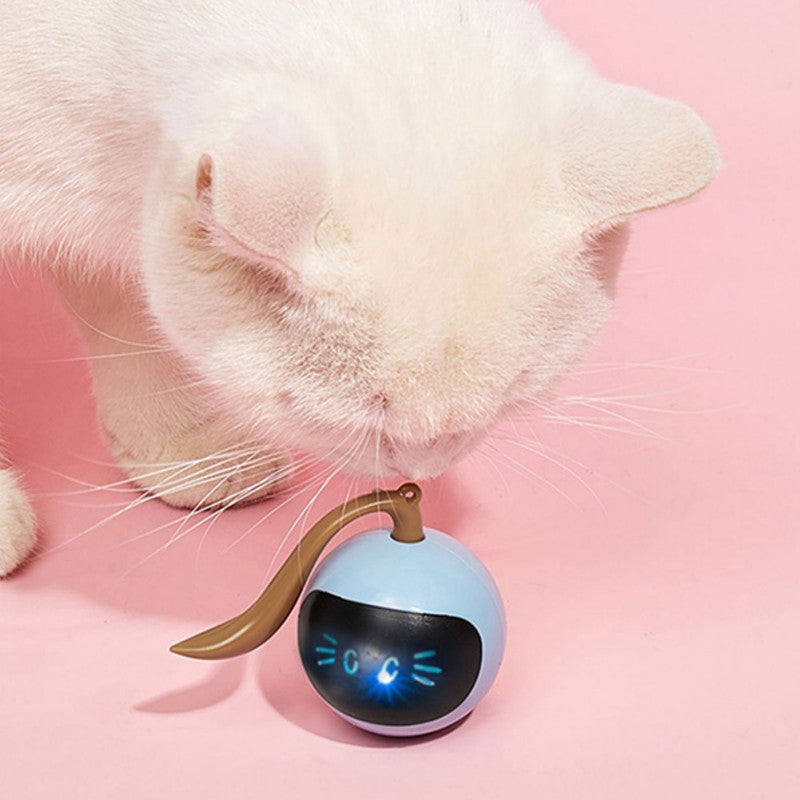 LED Self Rotating Pet Ball