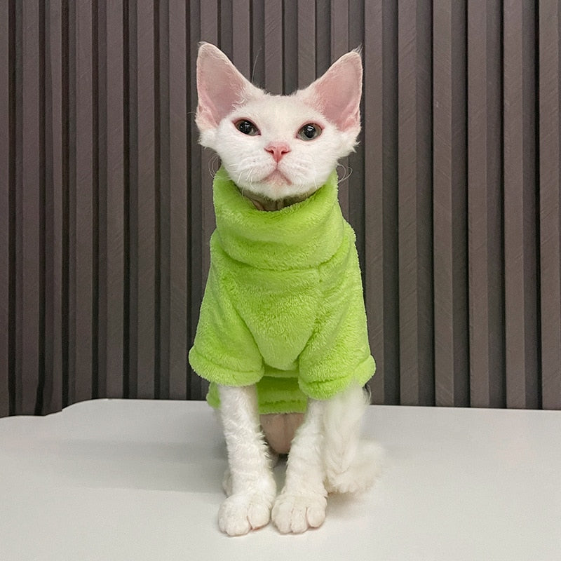 Cat Sweater Winter