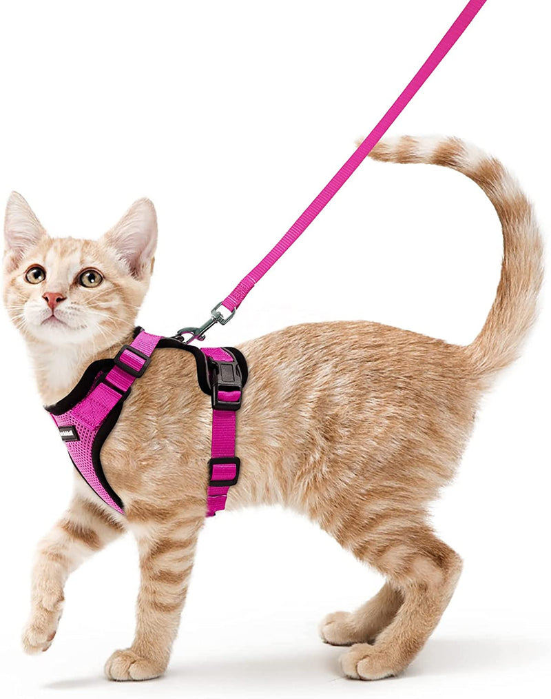 Ello Cat Harness