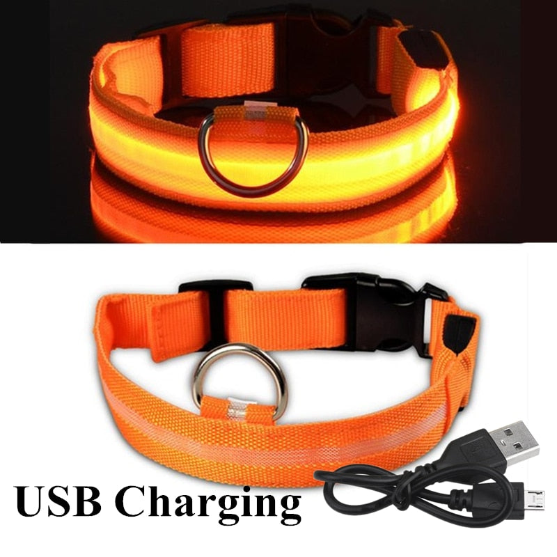 USB Rechargeable Pet Collar