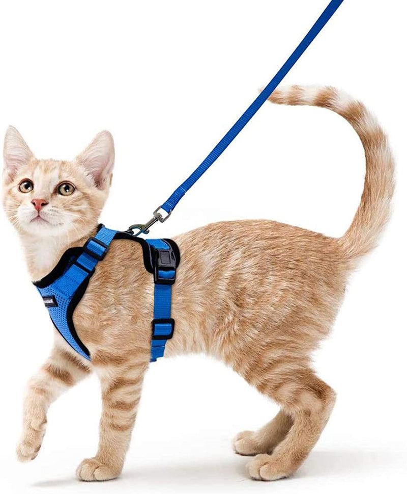 Ello Cat Harness