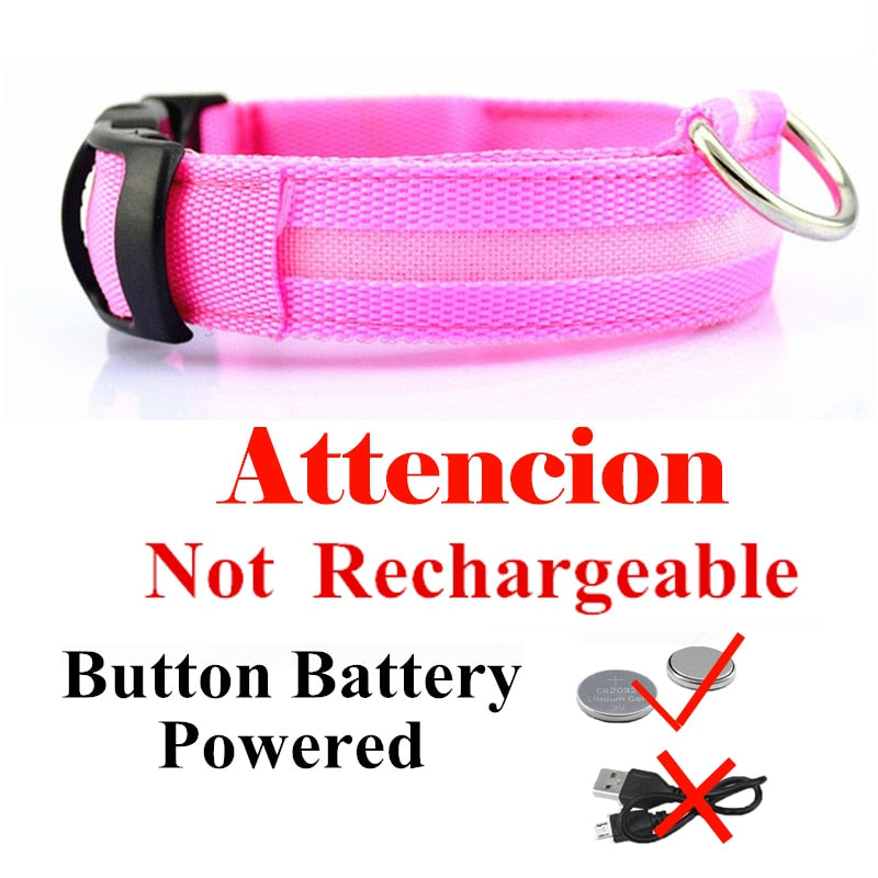 USB Rechargeable Pet Collar