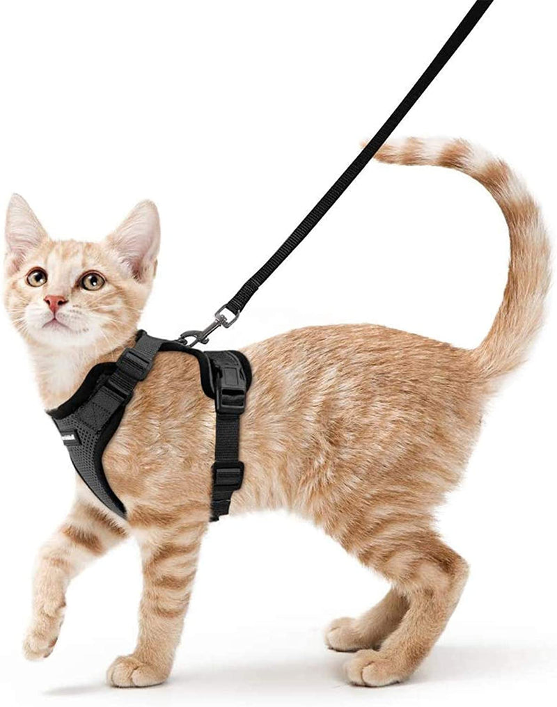 Ello Cat Harness