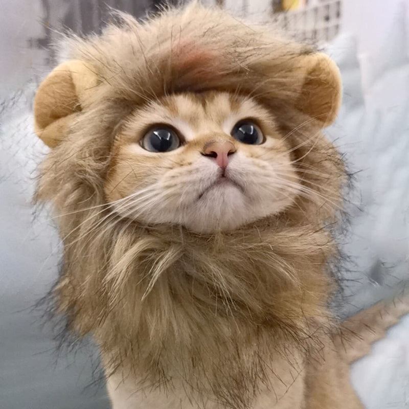 Cat Lion Costume