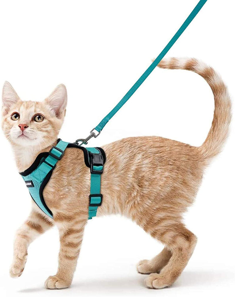 Ello Cat Harness