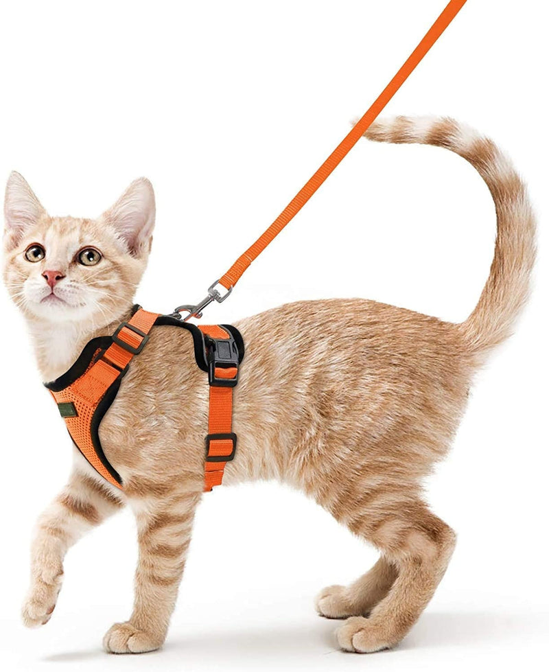 Ello Cat Harness