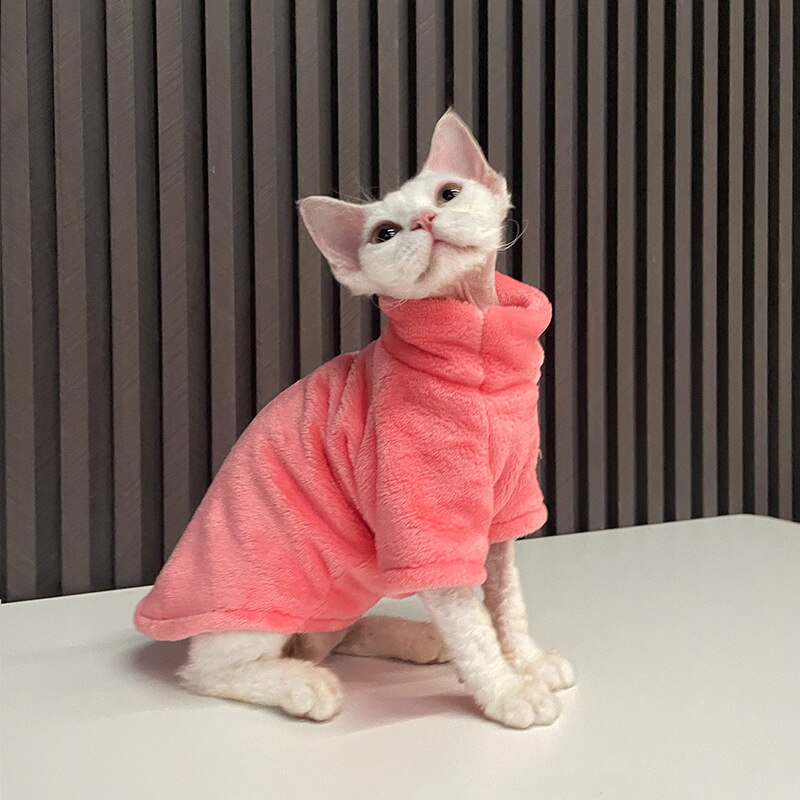 Cat Sweater Winter